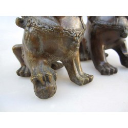 Bronze Fu lions pair( XL)