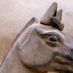 Terracota horse head