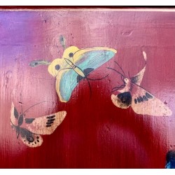 Antik roter chinesischer Schrank mit Schmetterlingen