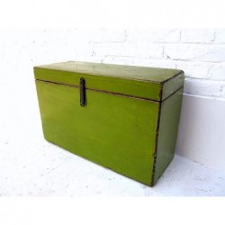 Chinese green trunk 60 cm