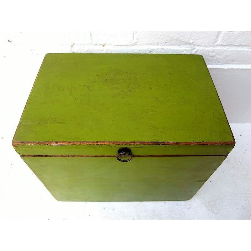 Green Chinese trunk 45 cm