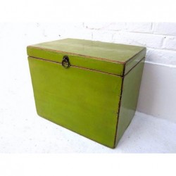 Green Chinese trunk 45 cm